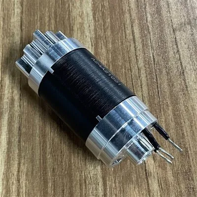 Pob txha Laum Pom Brushless Tsav